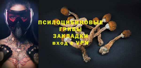 MESCALINE Аркадак