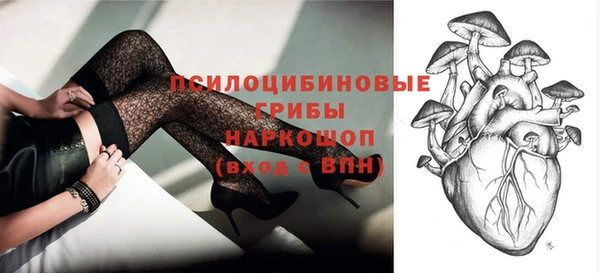 молекула духа Армянск