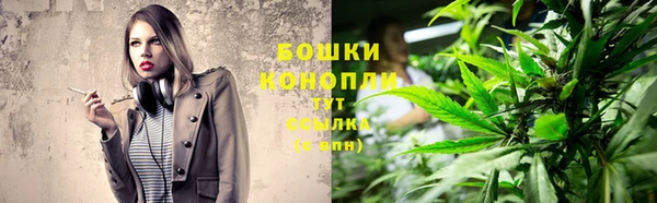 мяу мяу мука Пролетарск